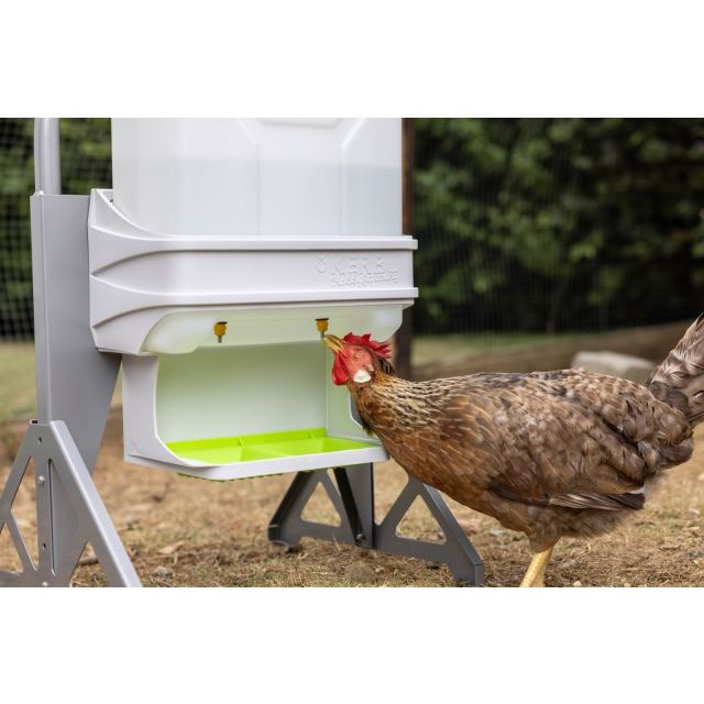 Hühnertränke Set mit Heizung und Füllstandsensor für Smart Coop Steuerung (ba)