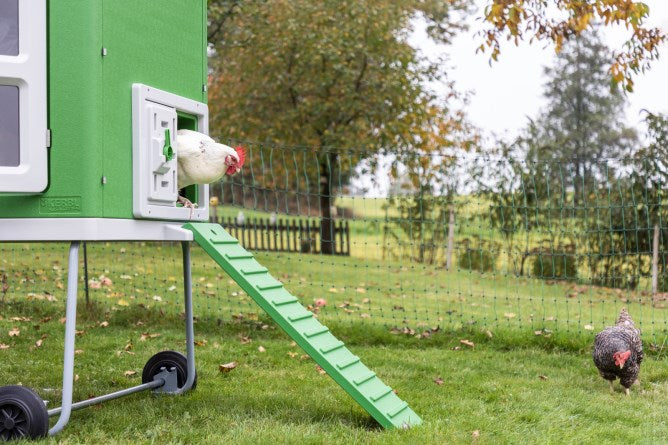 Hühnerstall Mobile Coop, Kunststoff